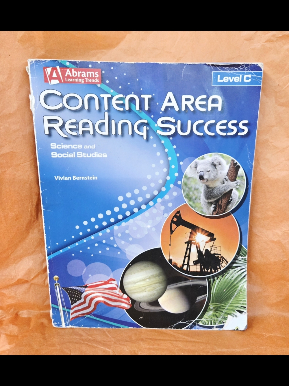 CONTENT AREA READING SUCCESS SCIENCE AND SOCIAL STUDIES BOOK BY VIVIAN BERNSTEIN